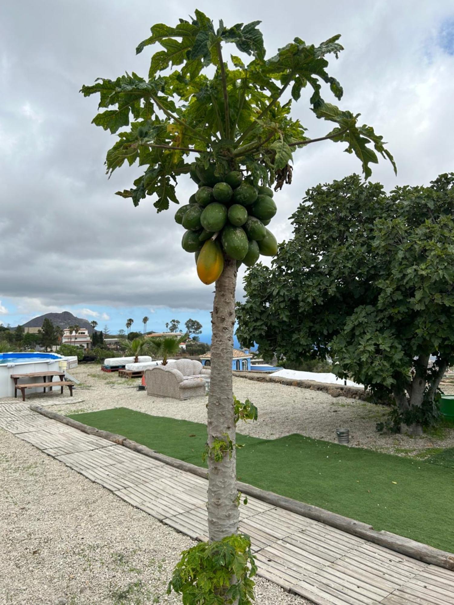 דירות ארונה La Vista Al Mar מראה חיצוני תמונה